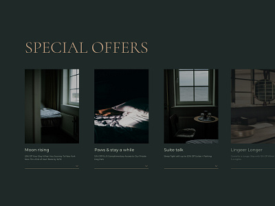 Hotel Website branding design graphic design hotel logo special offer typography ui ui design ux website