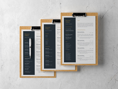 Professional Resume Template curriculum curriculum vitae cv cv resume cv resume template cv template pages template professional professional cv resume resume template resume template pages resume template word