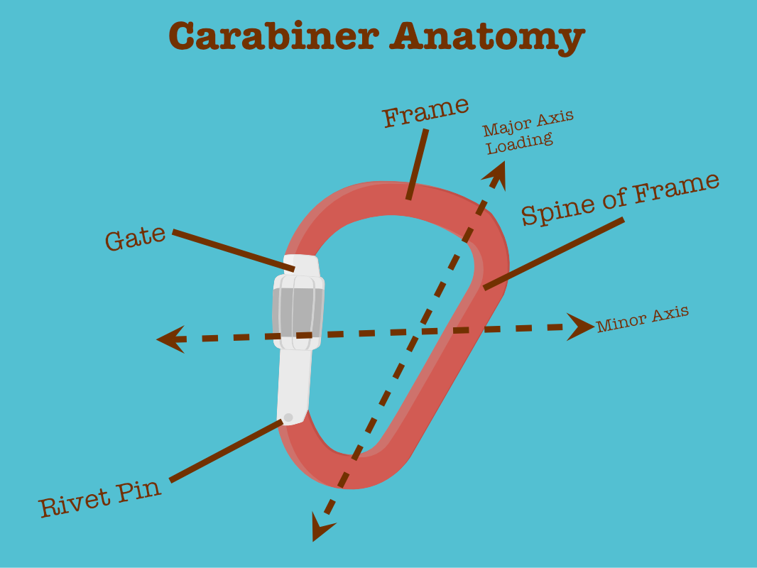 Carabiner Anatomy by Alyssa Garza on Dribbble