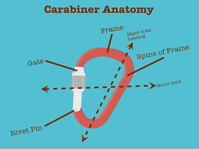 Carabiner Anatomy affinitydesigner character character concept climbing design illustration outdoors vector