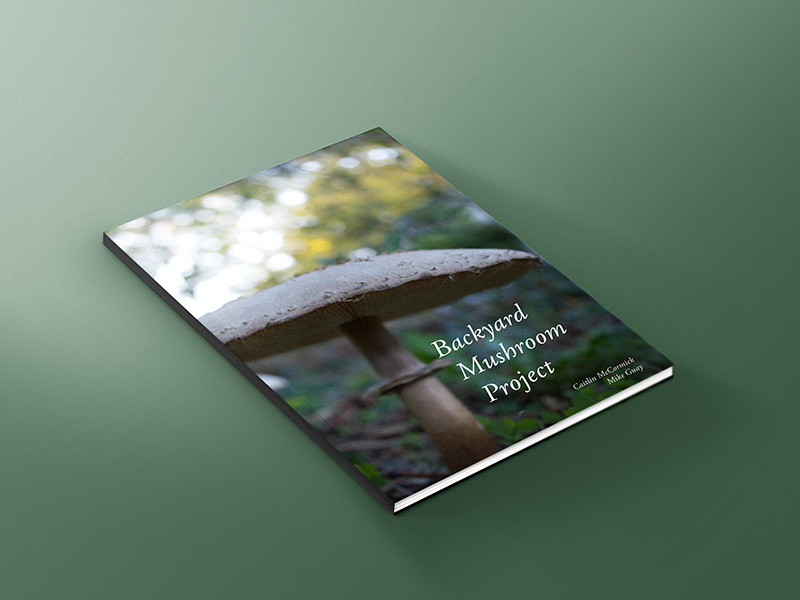 Download Mushroom Book Cover Mockup by Caitlin McCormick on Dribbble