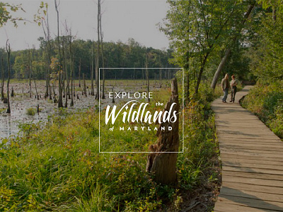 Wildlands branding design identity logo nature nonprofit parks pro bono type typography volunteer volunteering