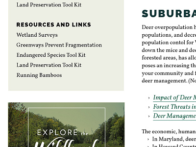 Interior page design layout pro bono volunteer web design website
