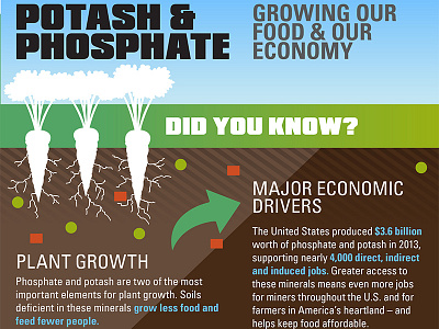 Potash & Phosphate Infographic infographic
