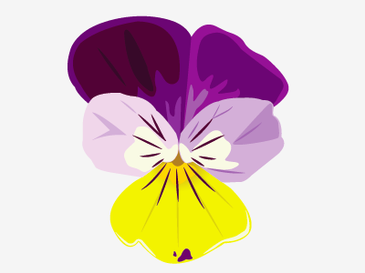 Violet flower illustration plant vector violet