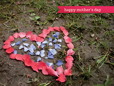 Mother's Day Card card flowers heart mom mothers day petals photo photography print