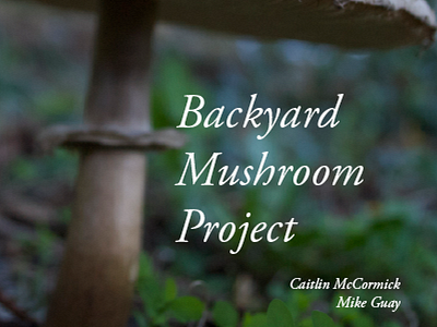 Backyard Mushroom Project Cover booklet mushrooms photography type