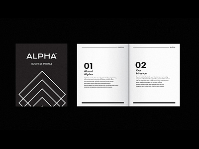 Alpha - construction branding graphic design