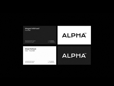 Alpha - construction BC branding graphic design