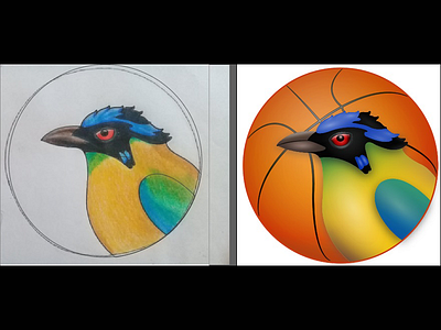 Basketball Team Mascot Illustration adobe illustrator basketball bird digital art digital drawing gradient graphic design graphicdesigner illistration mascot sketch sports vector art vector design