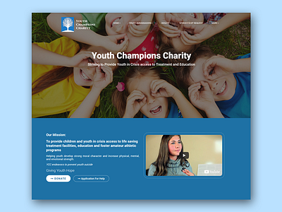 Website for Charity technology wordpress