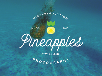 Pineapples since 2015 logo photos pineapple