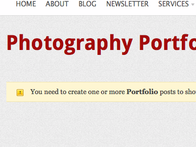 Portfolio Posts canvas custom post types woothemes wordpress