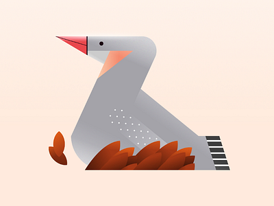 36daysoftype_Z 36 36daysoftype design illustration z zebra finch