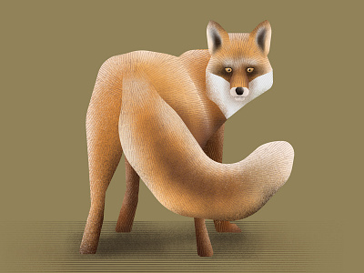 Fox art artwork design forest forest animals fox graphic design illustration