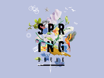 Spring Break collage dart117 hipster poster spring break vintage