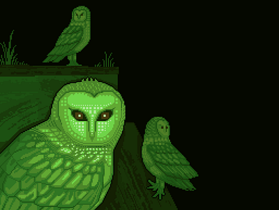 Owl Problem 8bit birds darius anton dark design flash horror illustration infrared night nocturne owls pixelart retro