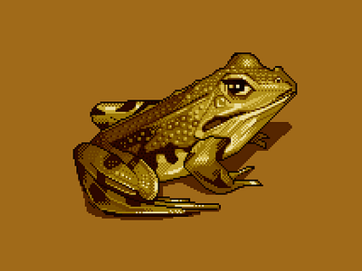 Golden Frog 8bit character contrast darius anton design illustration pixelart pixelartist retro