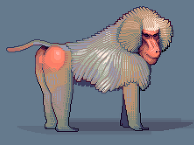 Baboon 8bit animal ape baboon butt contrast illustration monkey pixelart pixelartist retro wild zoo zoological