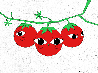 Tomatoes