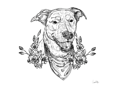 Portrait of a Dog adobe fresco character cute dog doggo doodle flowers fun illustraor illustration pen pencil scribble sketch sketchbook