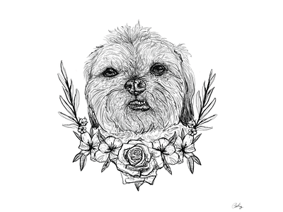 Mac the Shih Tzu adobe fresco character cute design dog doggo doodle flowers fun illustration illustrator pen pencil scribble shih tzu sketch sketchbook