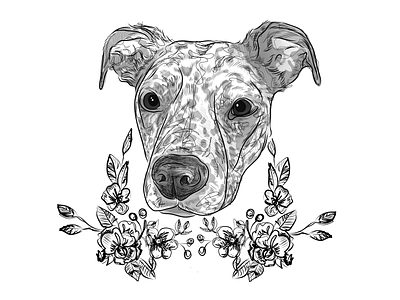 Reina design dog doggo doggy dogs fun graphic design illustraor illustration pawtrait sketch sketching