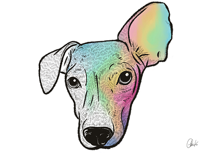 Rainbow Pupper