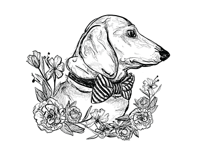 Ernie bowtie dachshund dog doggo dogs fun illustraor illustration pupper sketch sketchbook sketching style stylize