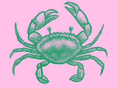 Cancer Crab beach cancer crab design drawing illustration ocean procreate stipple zodiac