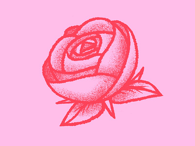 Red Rose Illustration botanic drawing floral flower grain illustration plants red rose