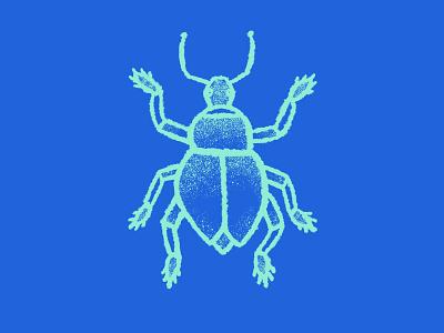 Blue Beetle Illustration beetle bug design drawing illustration procreate wacom