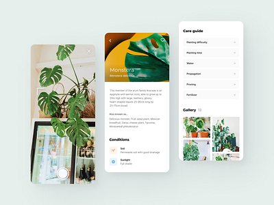 Plant Identifier - Concept App app camera clean design gallery interface ios iphone minimal mobile photo plant ui ux