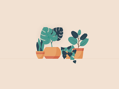 Plant illustration