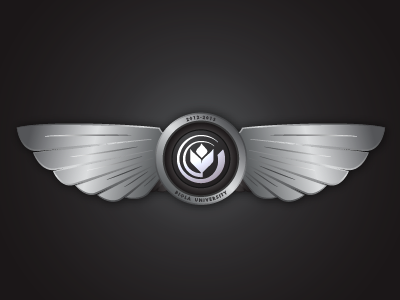 Silver Wings metallic pilot silver wings