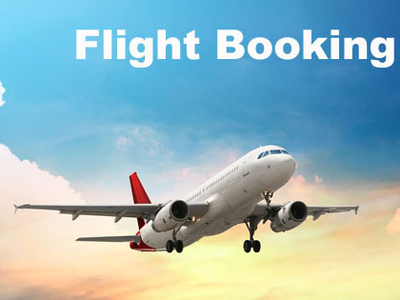 Flight Booking clone script by DOD IT Solutions on Dribbble