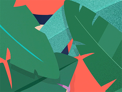 Who's there? aftereffects character color dribbble exploring gif illustration illustrator loop motion motiondesign nature
