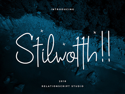 Stilwotth Script Font font font type fontdisplay handwrite letter lettering modern pairing script serif signature typography