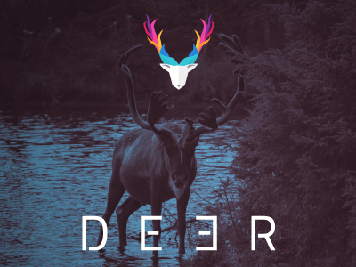 Deer Logo Design colorful deer logo
