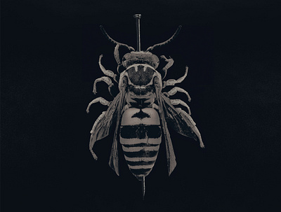 Artwork digipack album // Brutal bee animal dead devil illustration metal photomanipulation