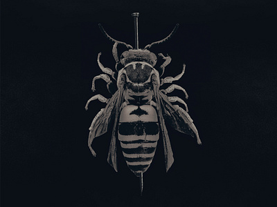 Artwork digipack album // Brutal bee animal dead devil illustration metal photomanipulation