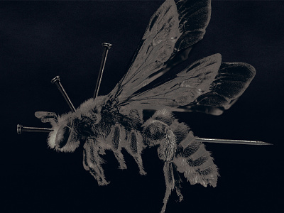 Artwork digipack album // Brutal bee animal death devil illustration metal photomanipulation photomontage photoshop art