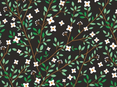 Branches branch design flower illustration leaves pattern