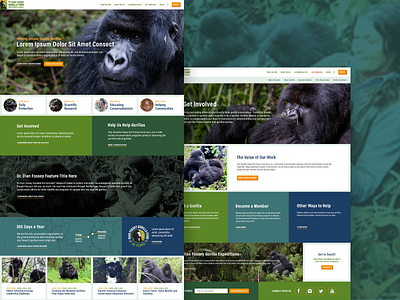 Dian Fossey Gorilla Fund Website Redesign ui web site