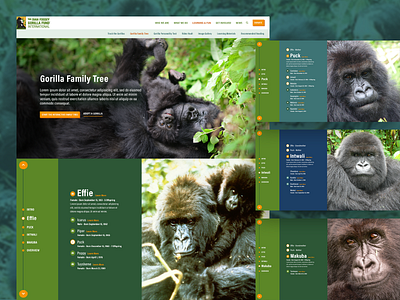 Dian Fossey Gorilla Fund Interactive Family Tree ui web site