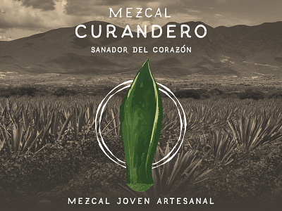 Mezcal Curandero Logo 3 Mockup branding design illustration logo logo design mezcal mockup typography vector