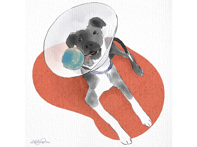 Get Well Soon #2! art design digital art dogs drawing hand drawn illustration illustration illustrator watercolor