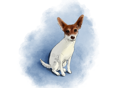 Harley animals digital art dogs drawing graphic design illustration illustrator pet portrait