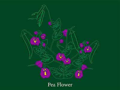 Pea flower digital art draw draw this in your style drawing flower green illustration illustrator