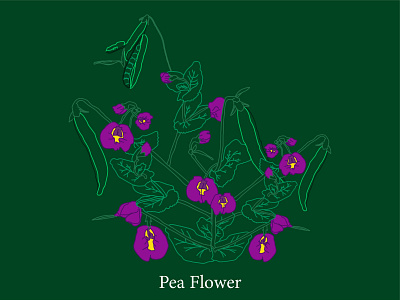 Pea flower